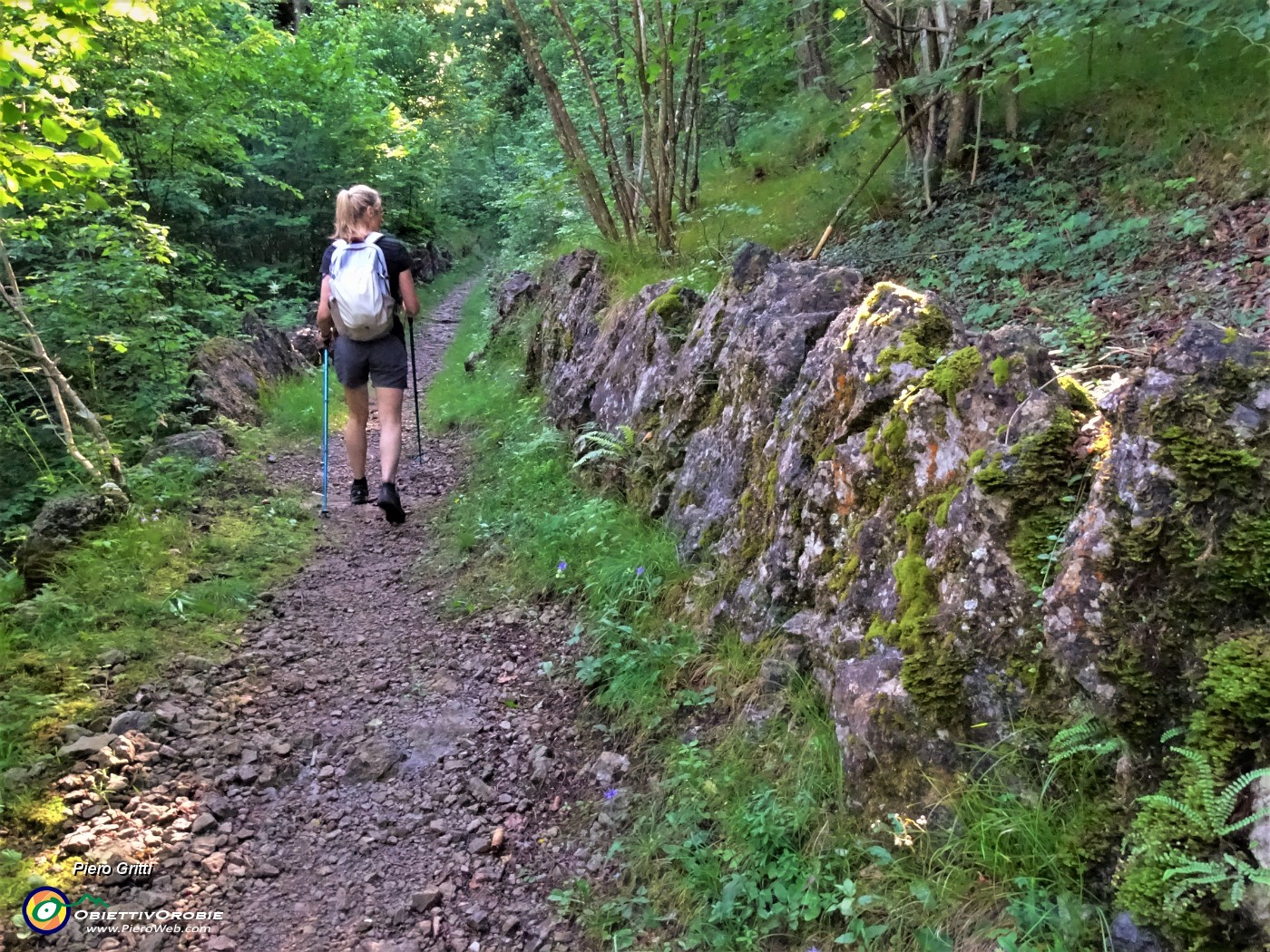 17 Bel sentiero con pietroni di sostegno a monte .JPG